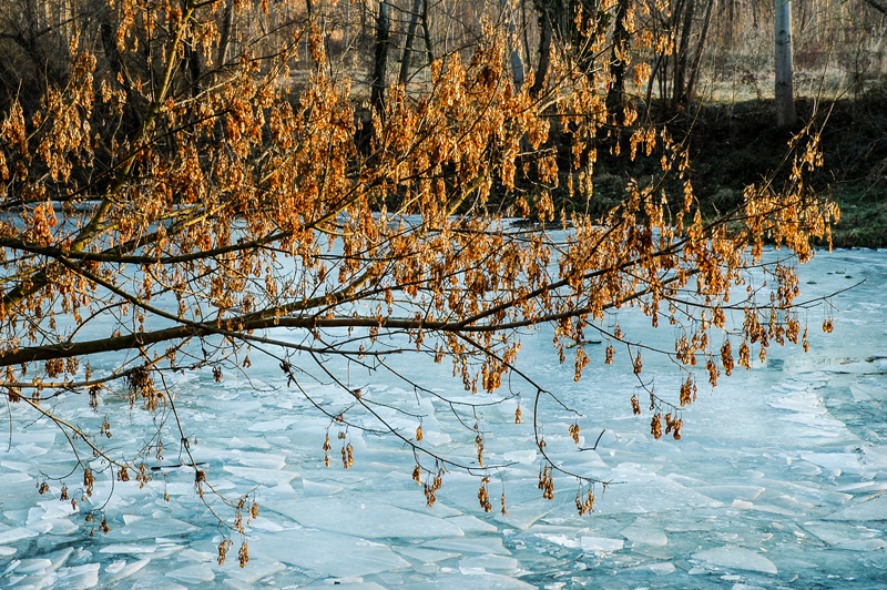 A inicis del I mil·leni, el riu Ter és una de les vies d'accés de noves poblacions procedents de centre Europa que afavoriran el sorgiment de societats complexes i jerarquitzades.